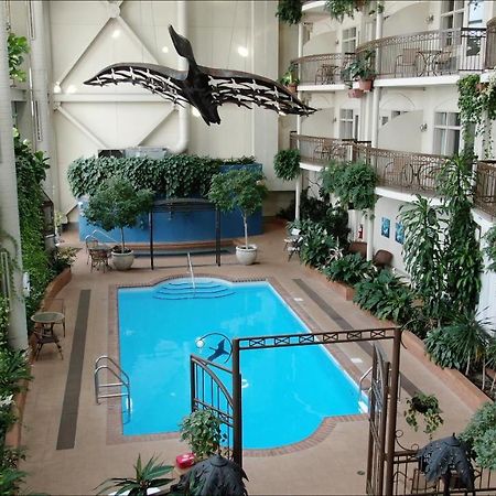 Hotel L'Oie Des Neiges Lévis Екстериор снимка