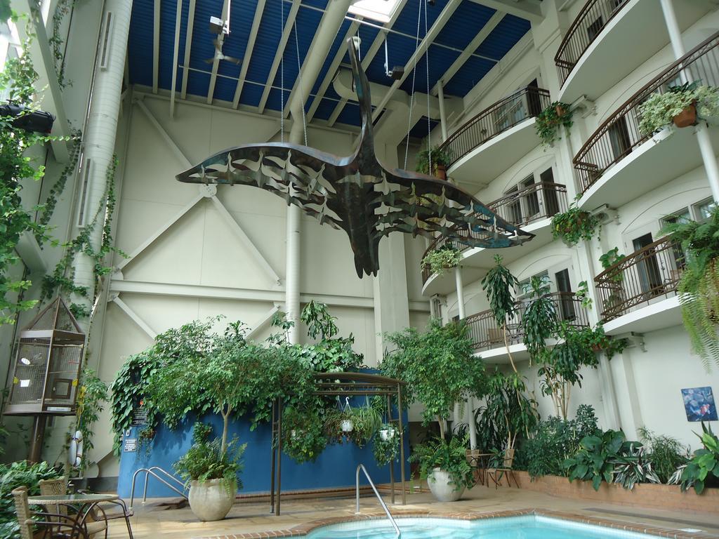 Hotel L'Oie Des Neiges Lévis Екстериор снимка